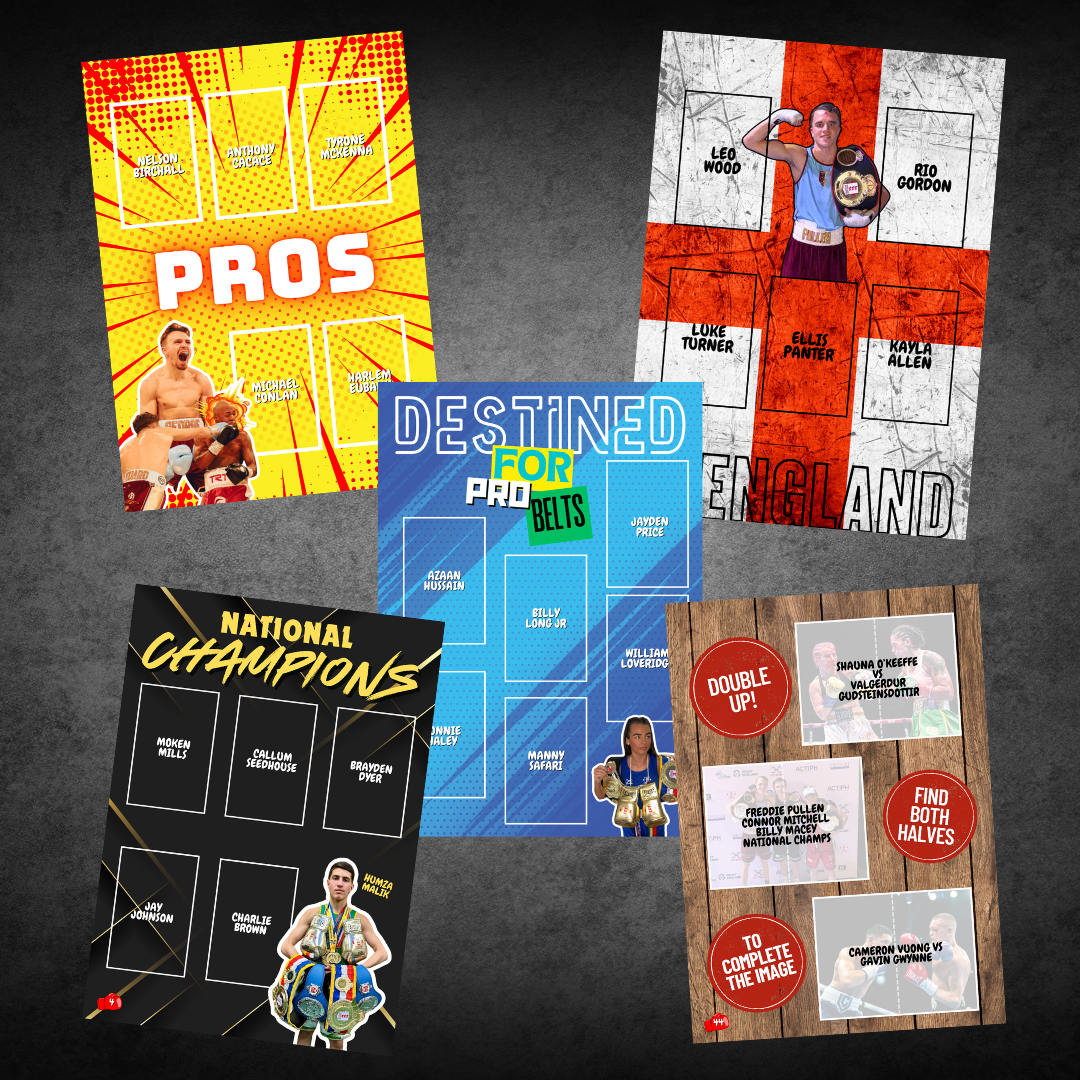 Boxing Mania Sticker Book