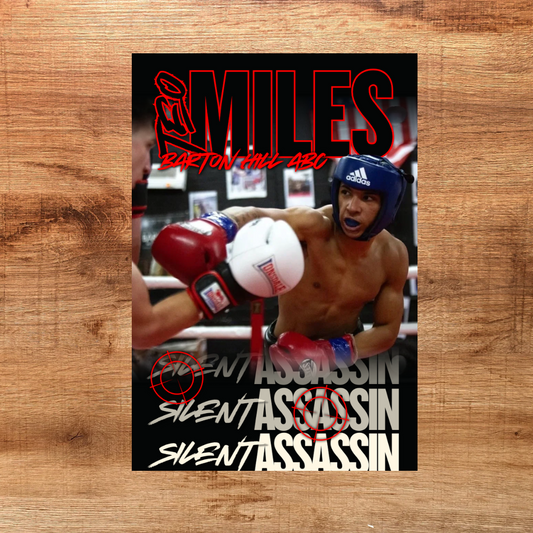 Teo Miles - Silent Assassin